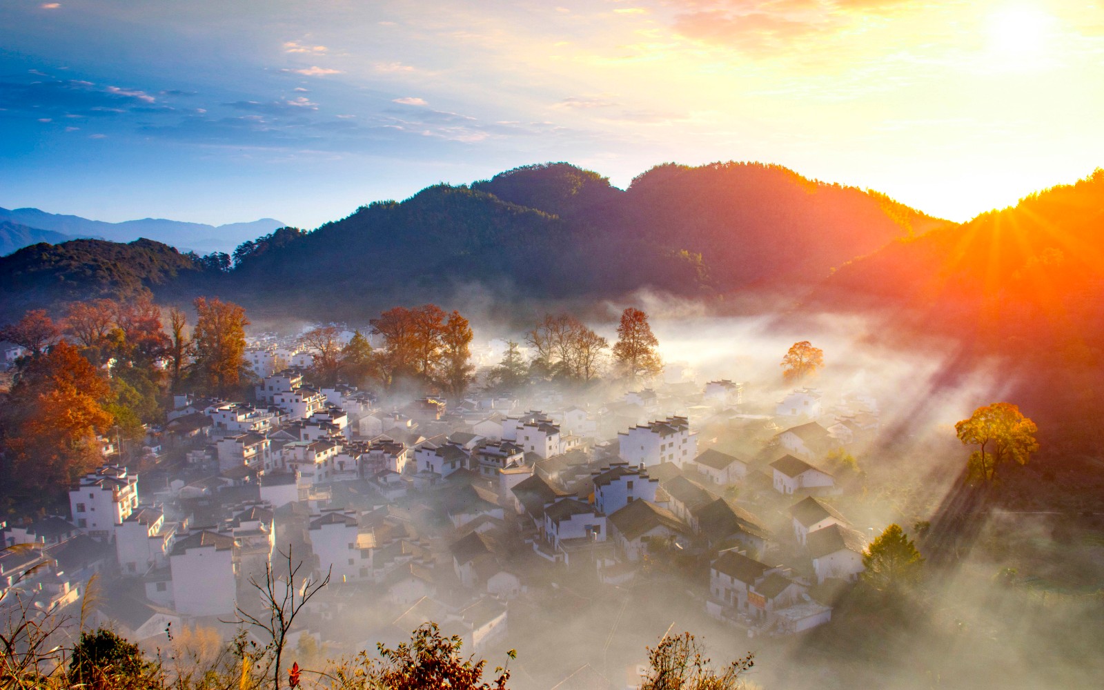 婺源石城枫叶