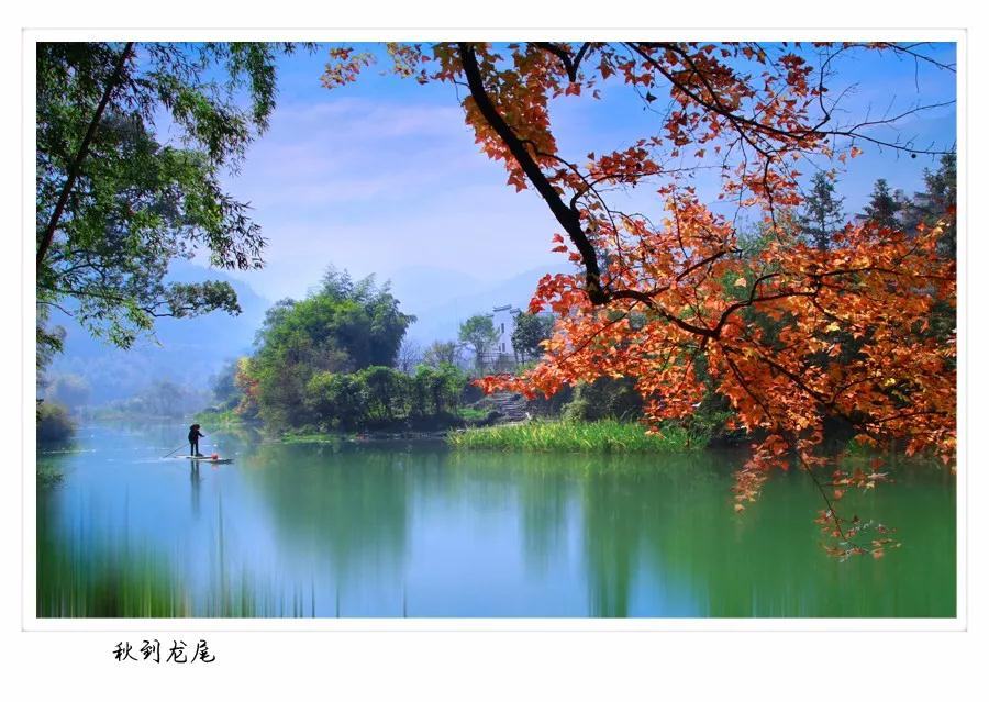 2023相约皖南摄影之秋六天婺源塔川石潭姬公尖深度摄影创作团(图3)